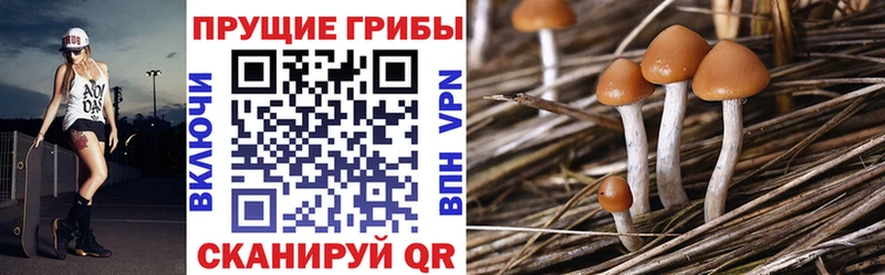 Псилоцибиновые грибы GOLDEN TEACHER  Краснослободск 