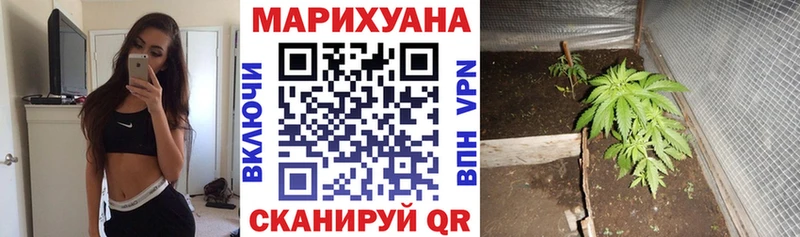 продажа наркотиков  Краснослободск  Бошки Шишки MAZAR 